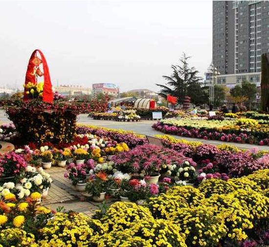 北京城市菊展设计