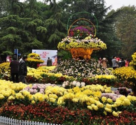 新疆 公园菊展设计施工